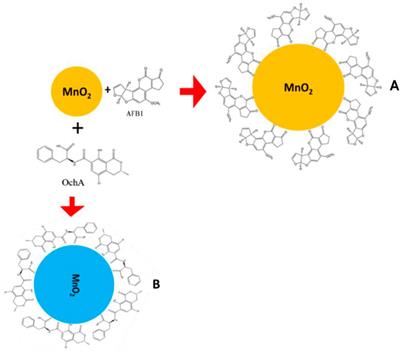 Bio-Active Free Direct Optical Sensing of Aflatoxin B1 and Ochratoxin A Using a Manganese Oxide Nano-System